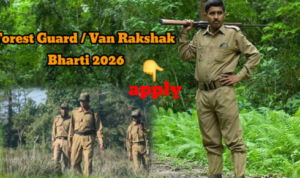 Van Vibhag Bharti Apply Online: Your Guide to Forest Department Job Opportunities